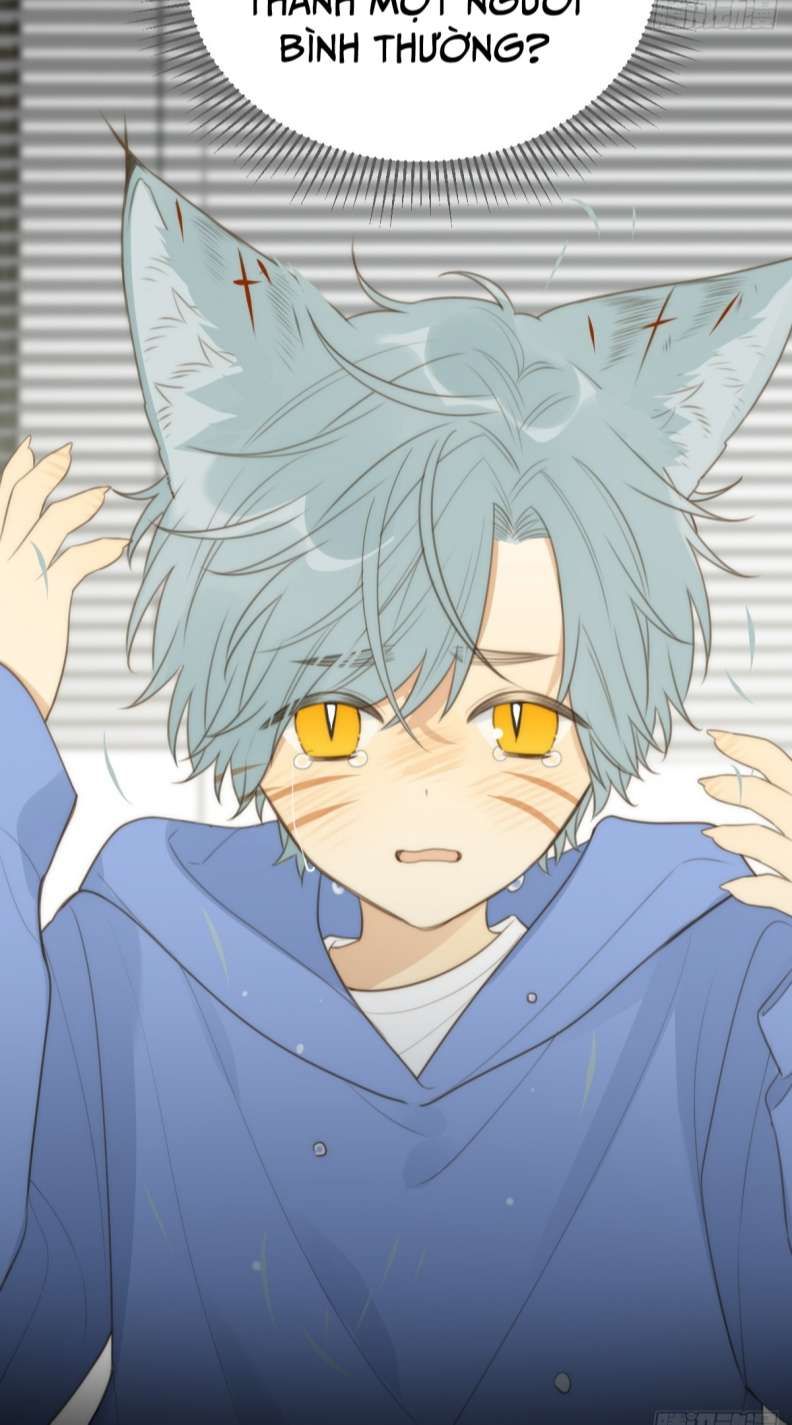 Chỉ Có Đuôi Là Không Thể Chapter 27 - 48