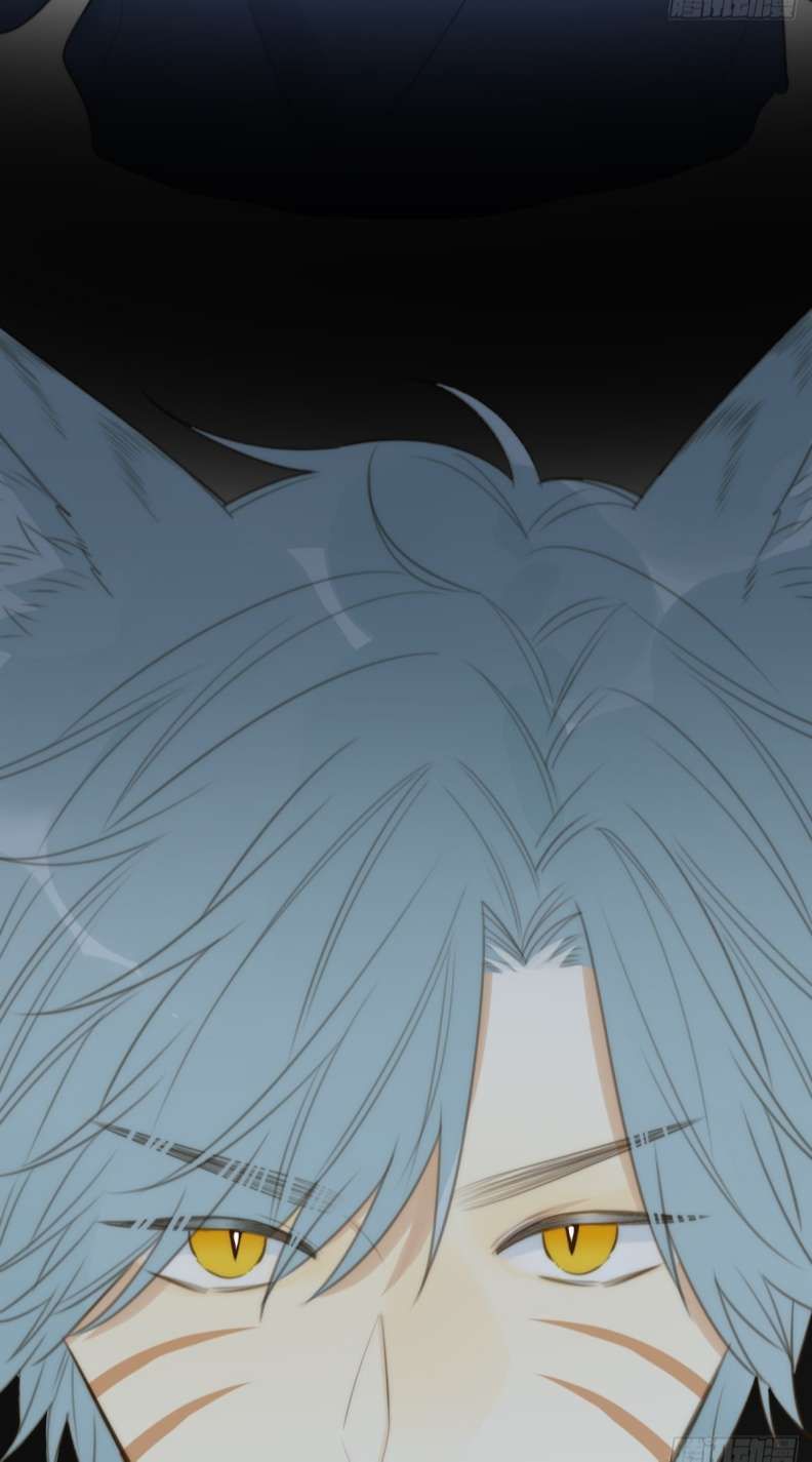 Chỉ Có Đuôi Là Không Thể Chapter 27 - 49