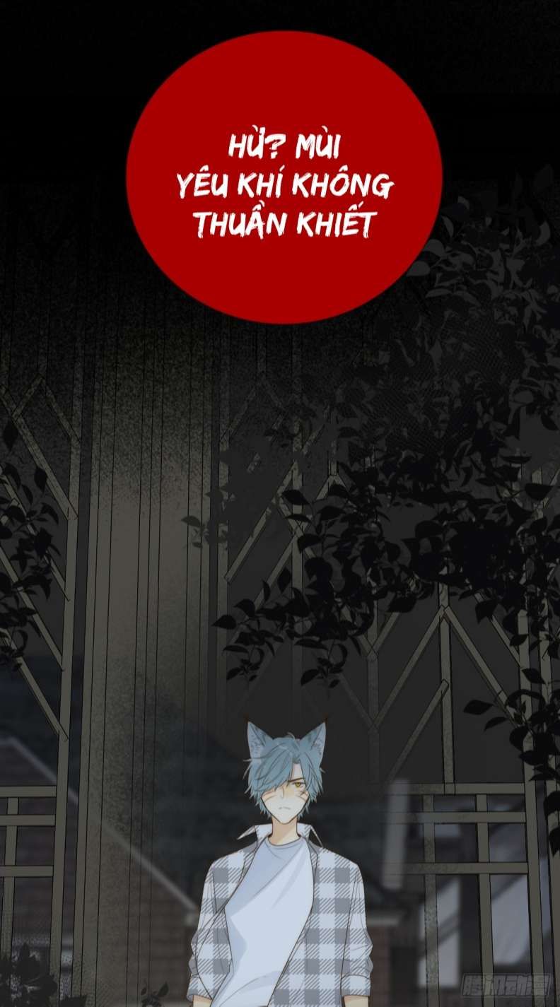 Chỉ Có Đuôi Là Không Thể Chapter 27 - 51