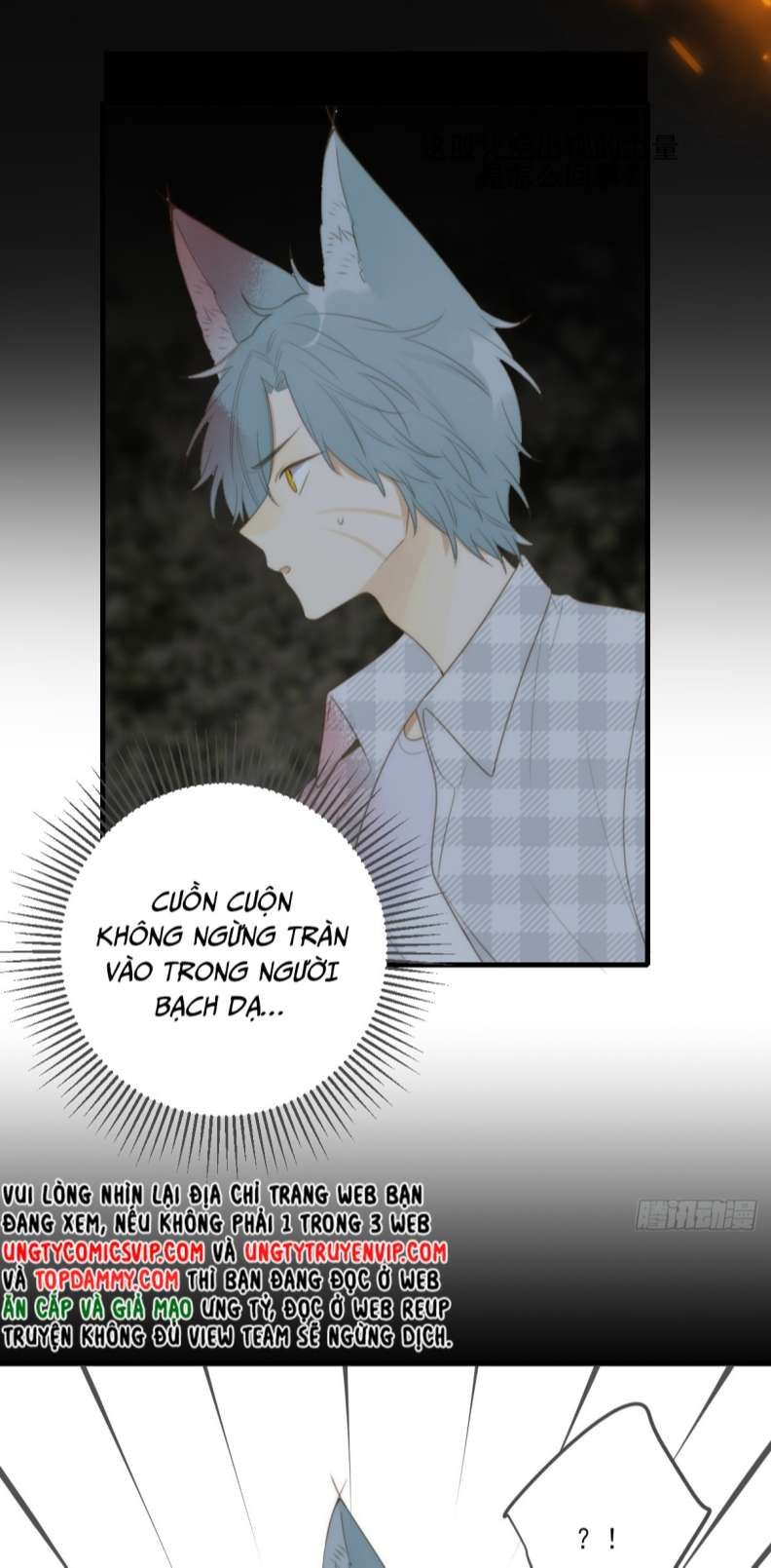 Chỉ Có Đuôi Là Không Thể Chapter 29 - 34