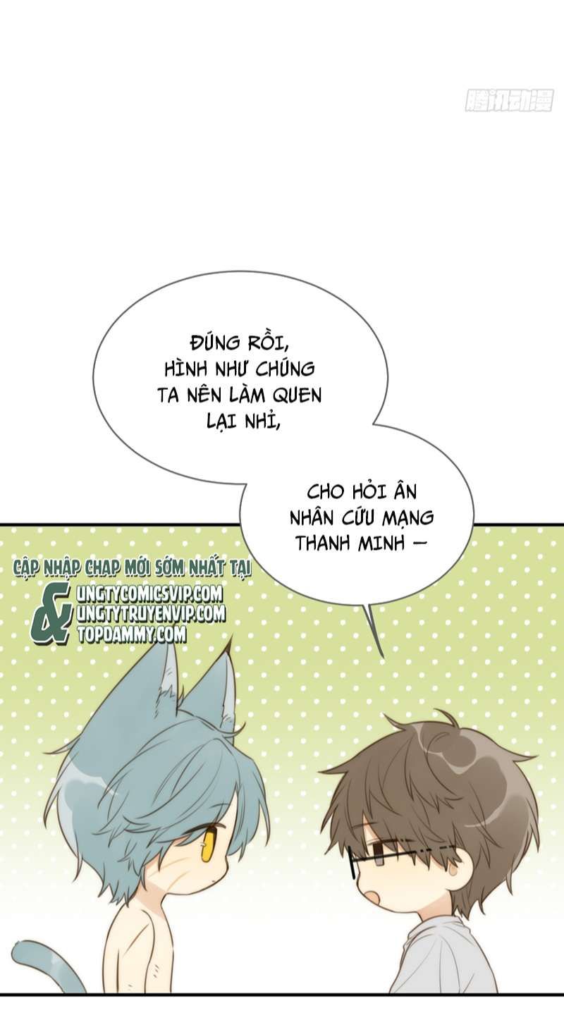 Chỉ Có Đuôi Là Không Thể Chapter 31 - 16