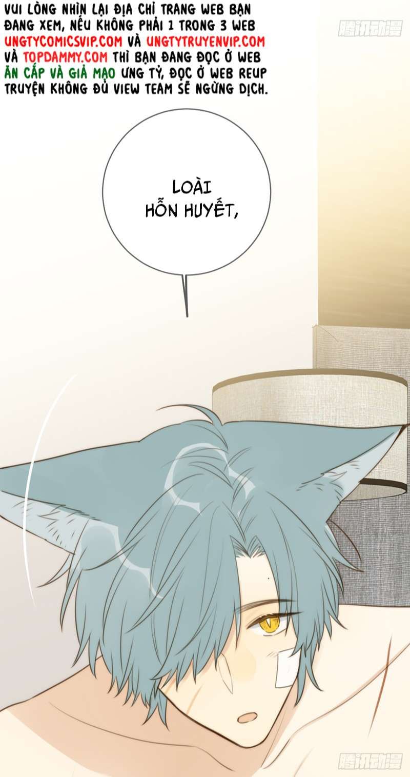 Chỉ Có Đuôi Là Không Thể Chapter 31 - 18