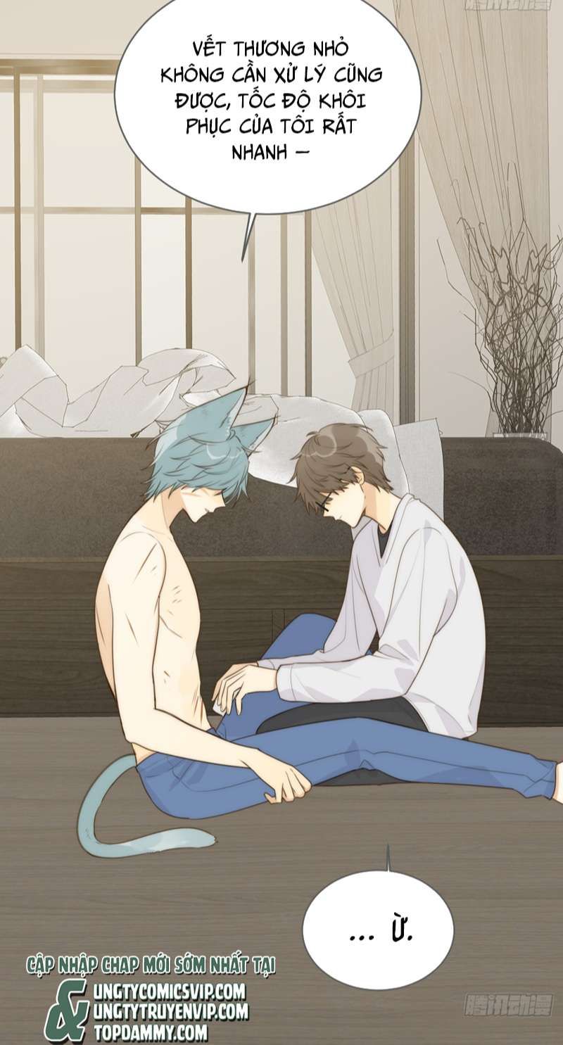 Chỉ Có Đuôi Là Không Thể Chapter 31 - 4