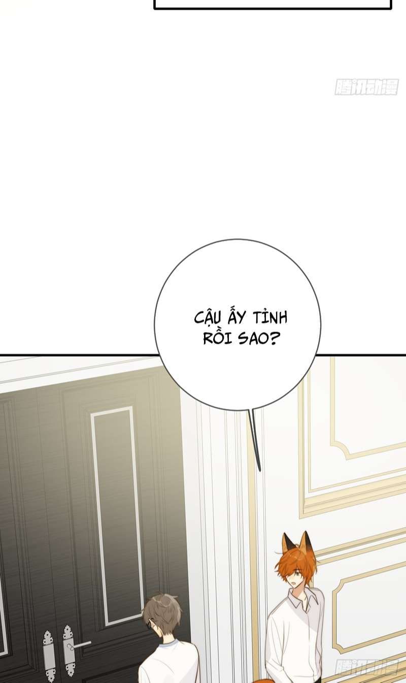 Chỉ Có Đuôi Là Không Thể Chapter 31 - 47