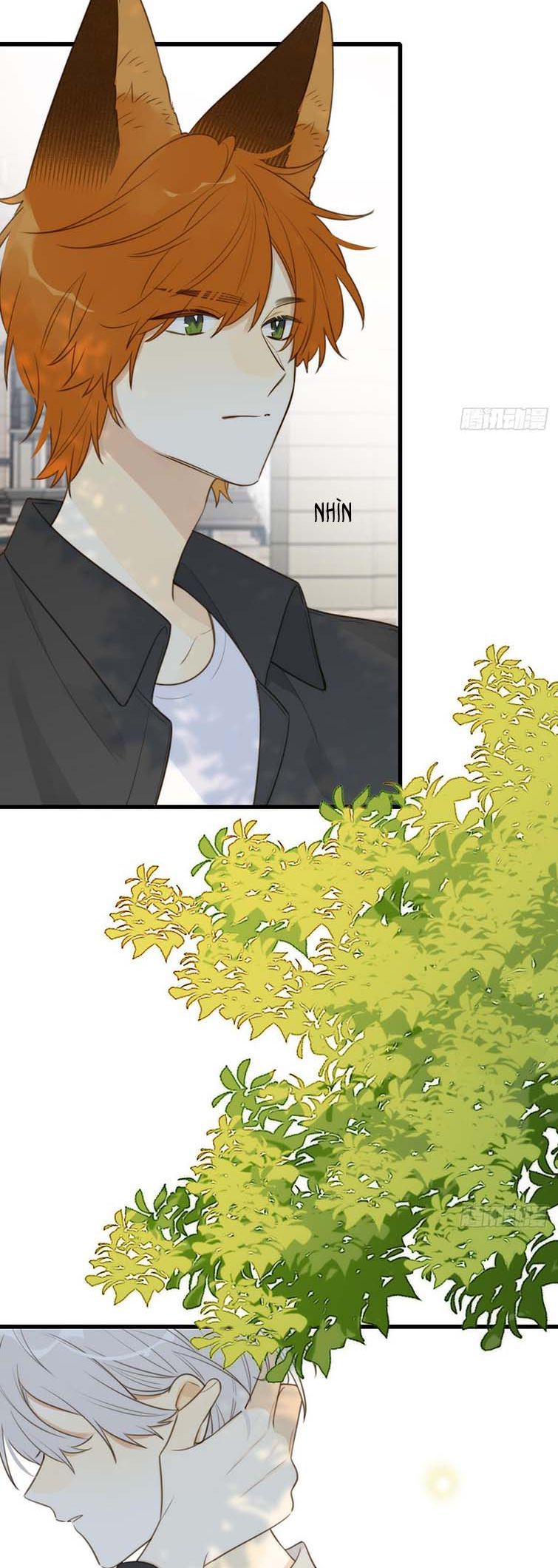 Chỉ Có Đuôi Là Không Thể Chapter 32 - 27
