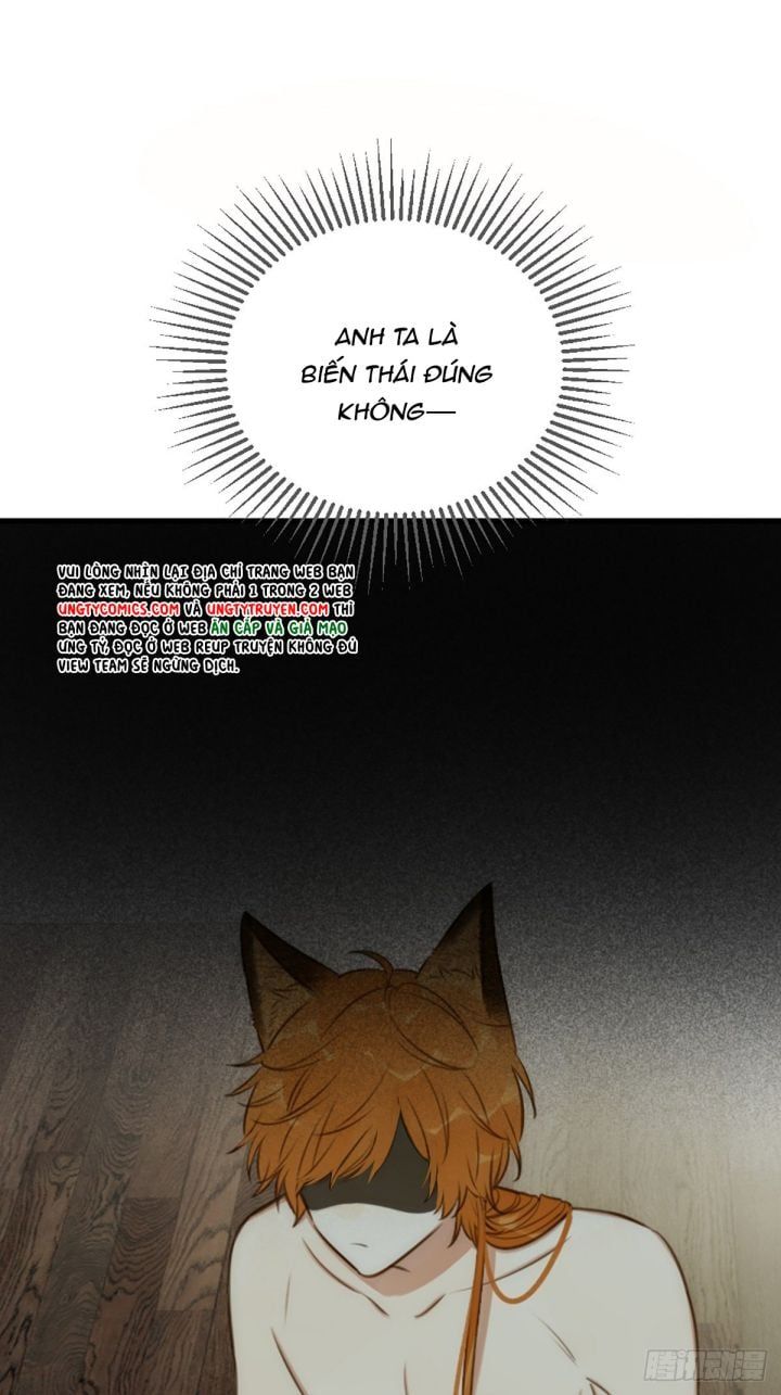 Chỉ Có Đuôi Là Không Thể Chapter 4 - 12