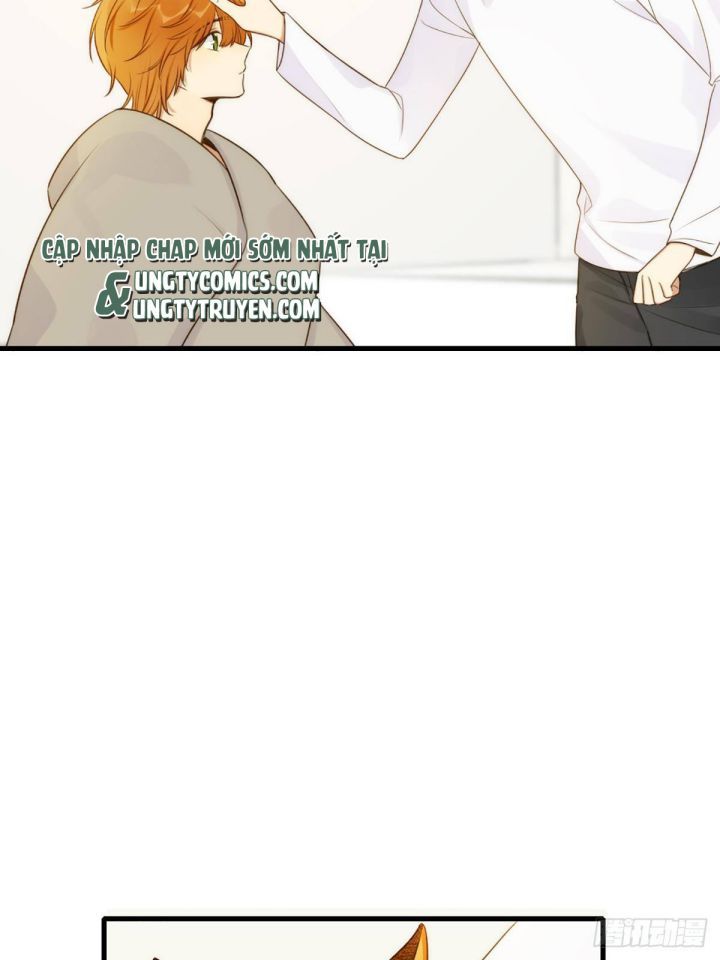 Chỉ Có Đuôi Là Không Thể Chapter 4 - 27