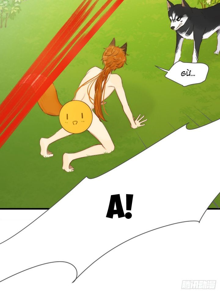 Chỉ Có Đuôi Là Không Thể Chapter 4 - 45