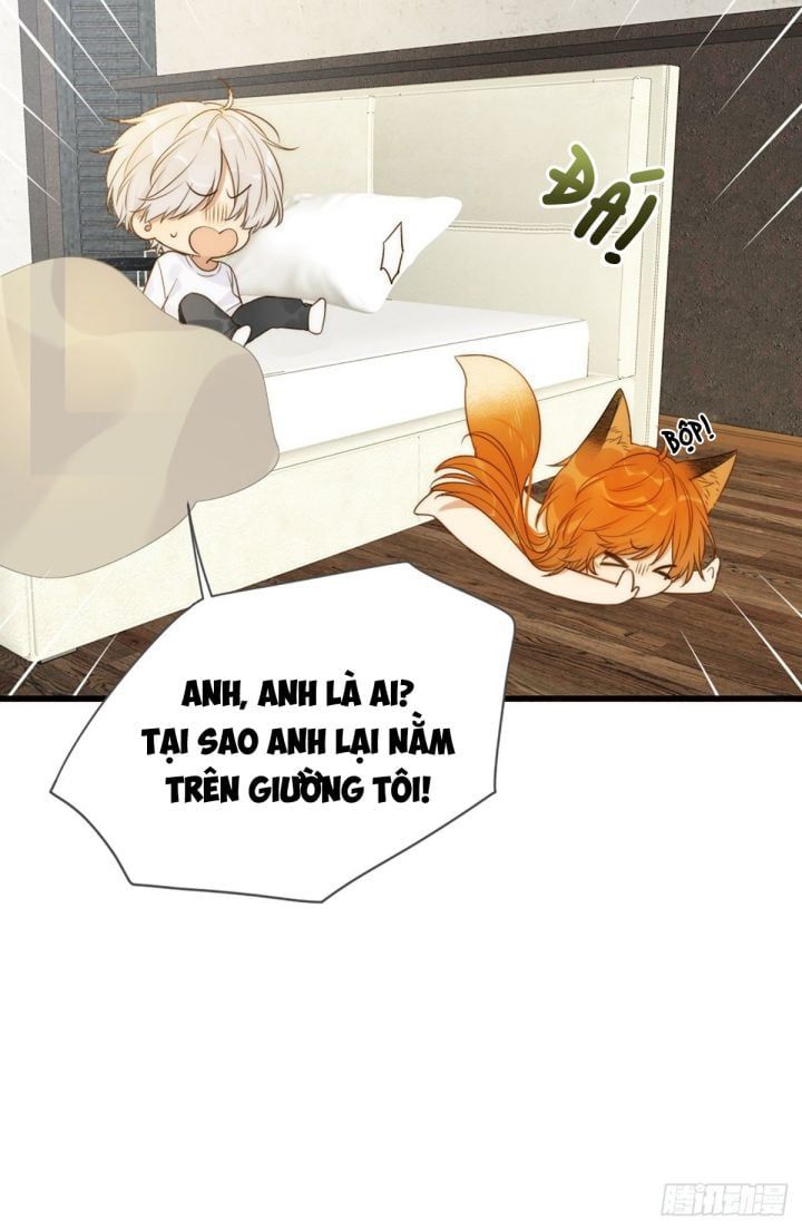 Chỉ Có Đuôi Là Không Thể Chapter 4 - 9