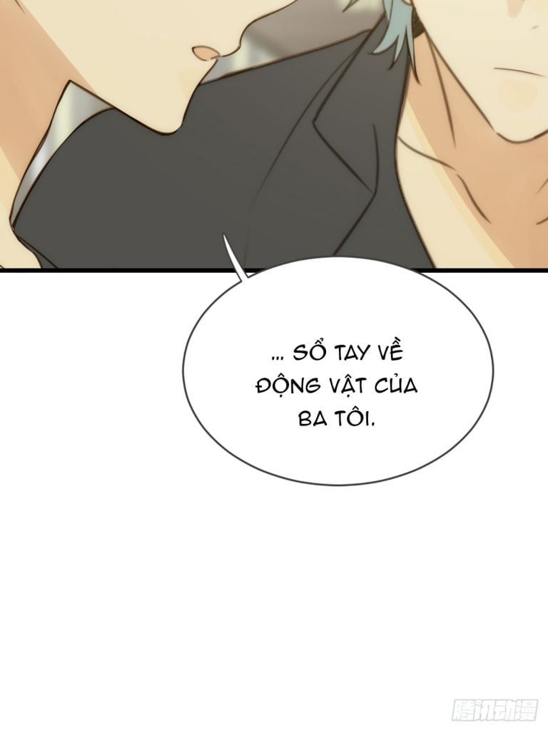 Chỉ Có Đuôi Là Không Thể Chapter 40 - 13