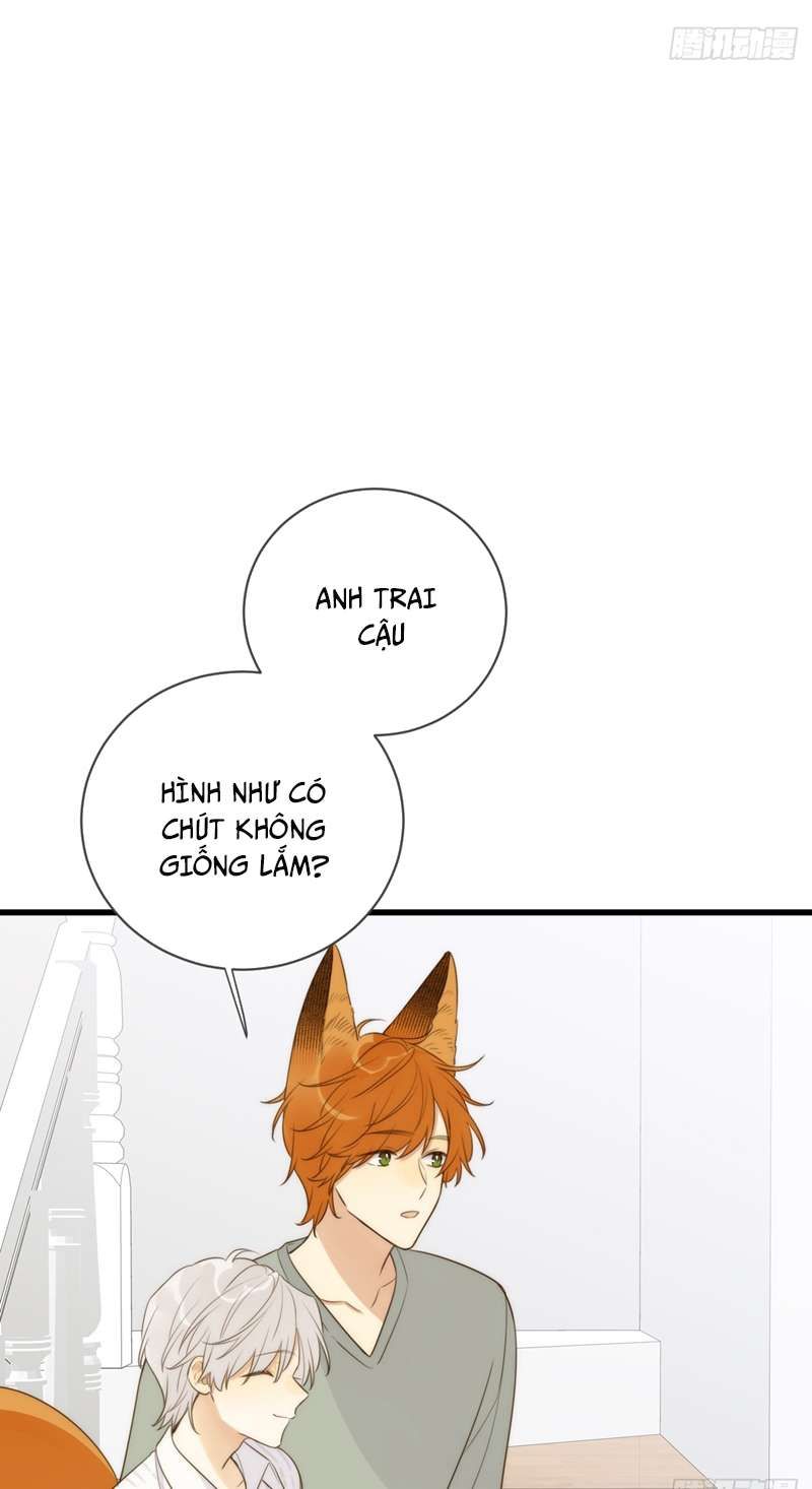 Chỉ Có Đuôi Là Không Thể Chapter 41 - 16