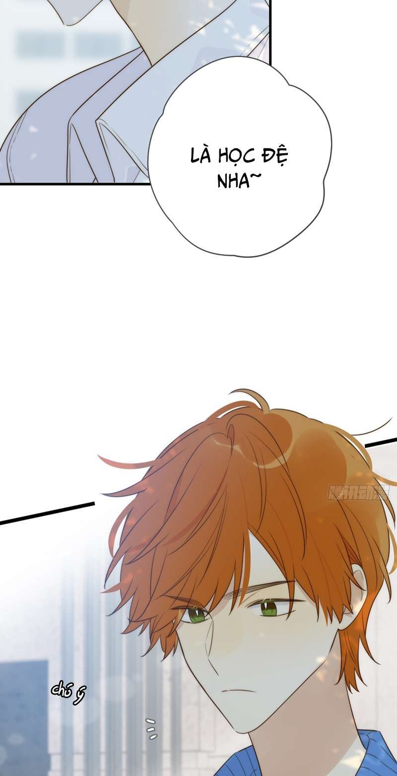 Chỉ Có Đuôi Là Không Thể Chapter 41 - 37
