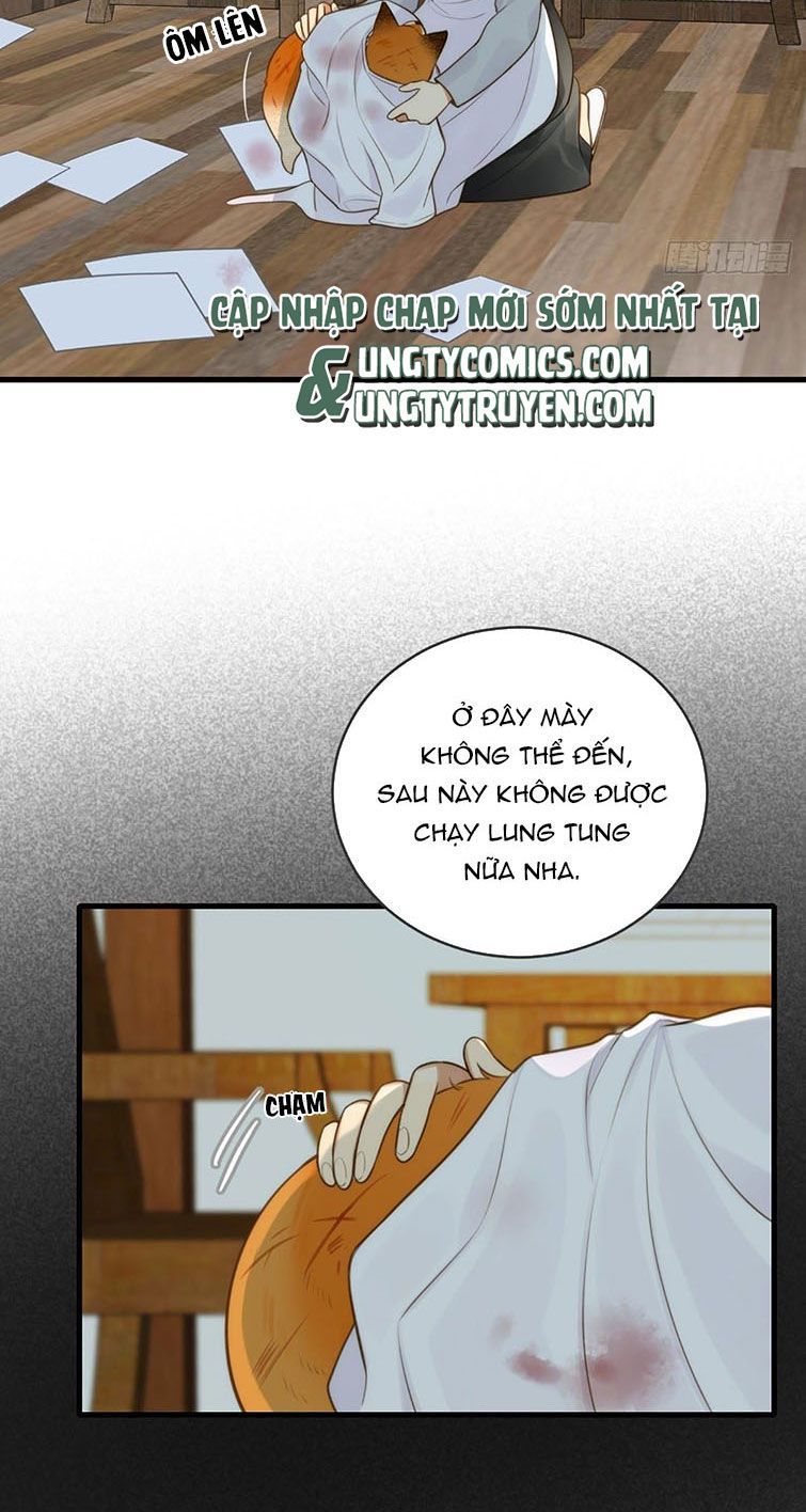 Chỉ Có Đuôi Là Không Thể Chapter 6 - 13