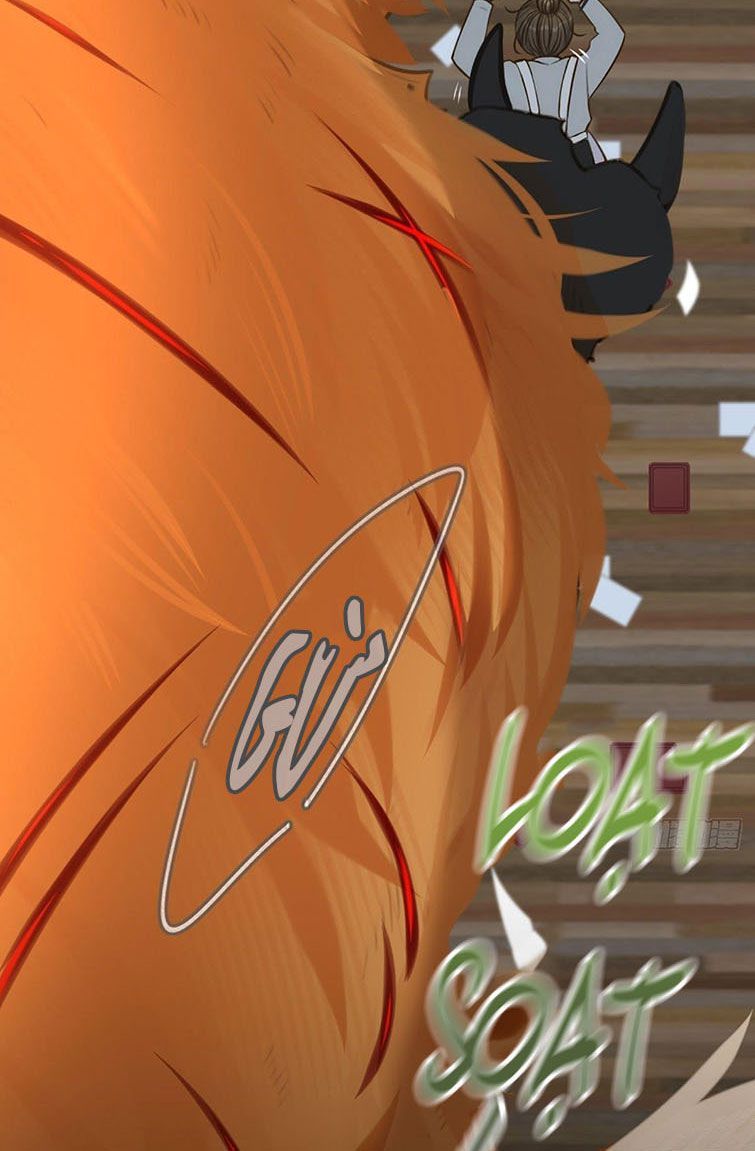 Chỉ Có Đuôi Là Không Thể Chapter 6 - 39