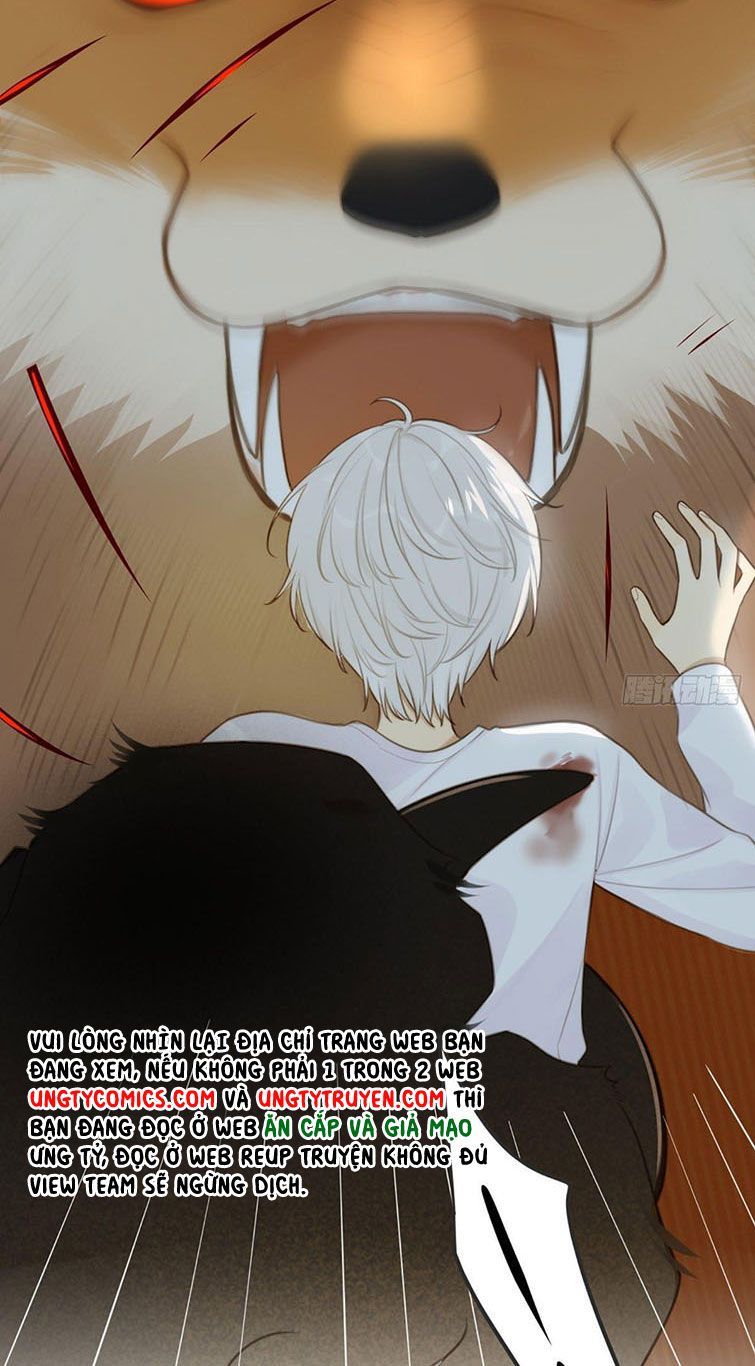 Chỉ Có Đuôi Là Không Thể Chapter 6 - 57
