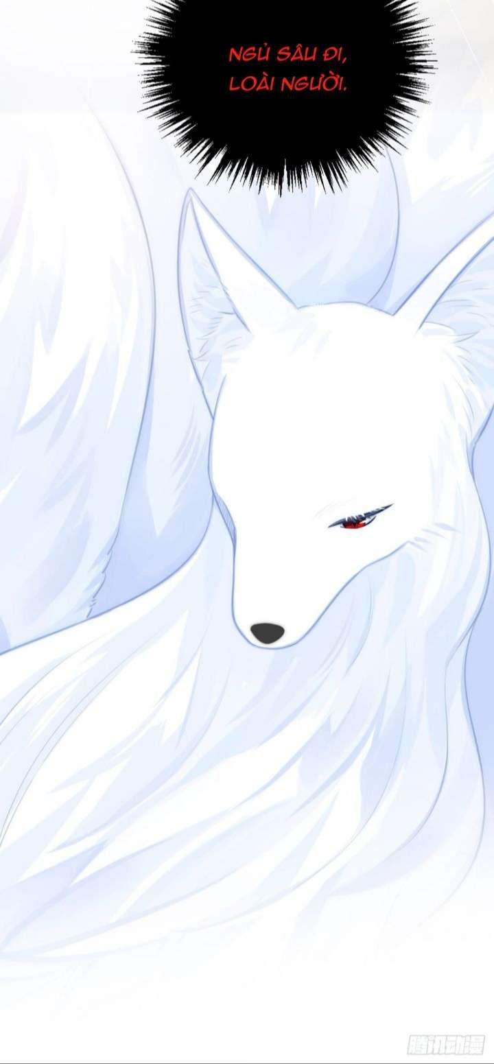 Chỉ Có Đuôi Là Không Thể Chapter 8 - 20