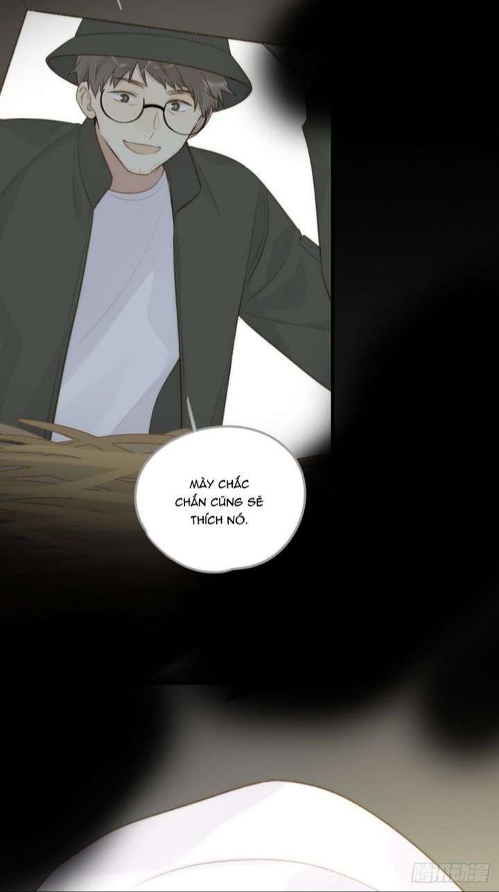 Chỉ Có Đuôi Là Không Thể Chapter 8 - 43