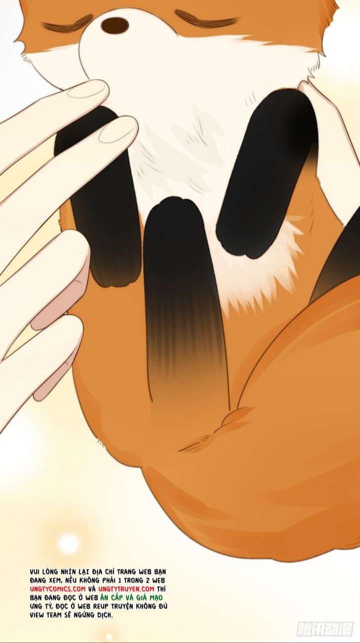 Chỉ Có Đuôi Là Không Thể Chapter 8 - 51