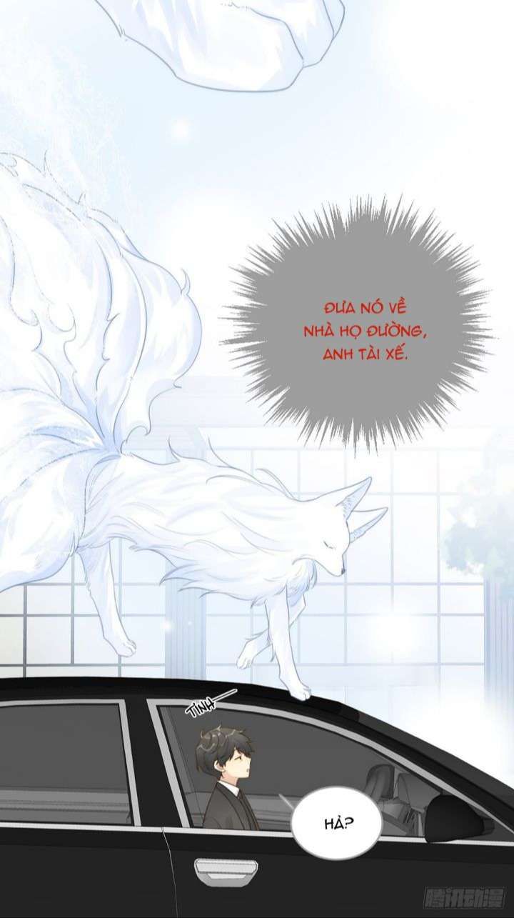 Chỉ Có Đuôi Là Không Thể Chapter 8 - 54