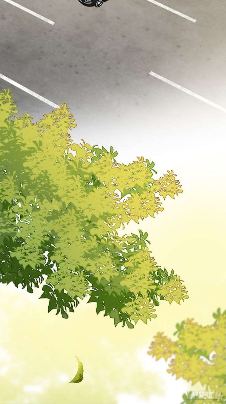 Chỉ Có Đuôi Là Không Thể Chapter 8 - 58