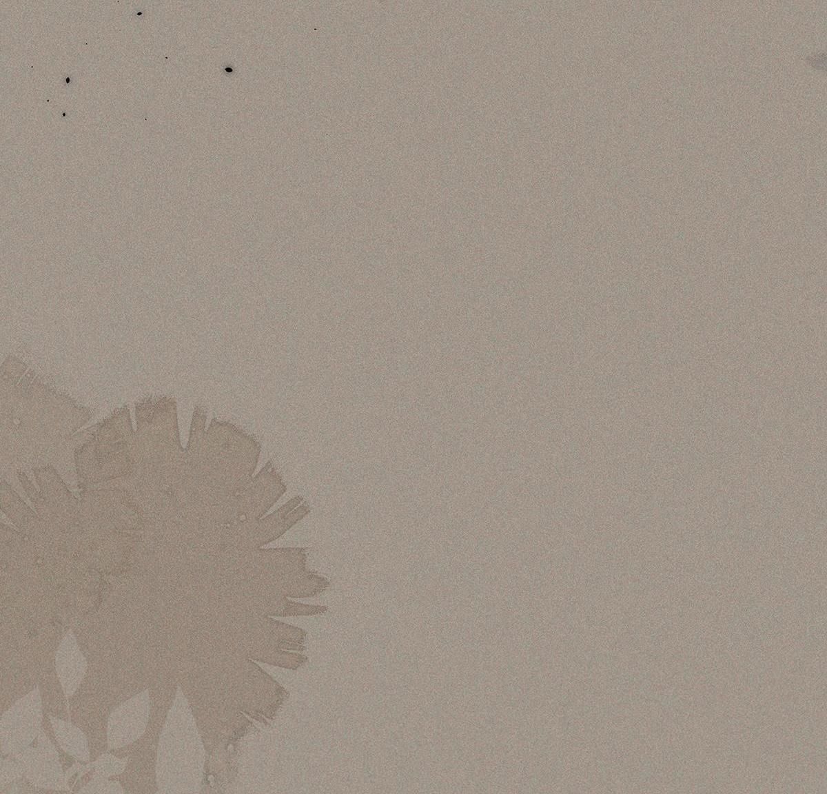 Chiếm Đoạt Ánh Trăng Chapter 23 - 21