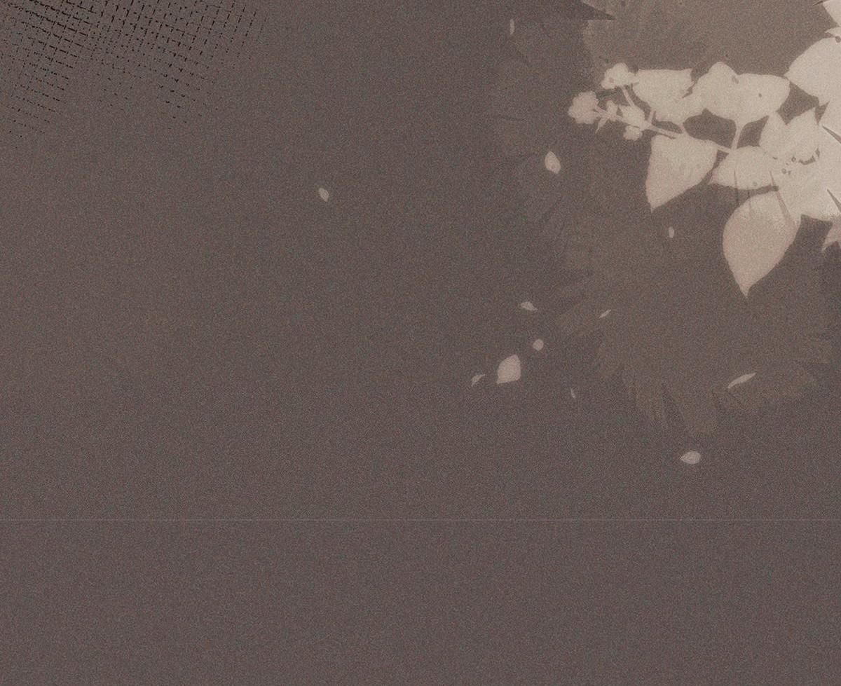 Chiếm Đoạt Ánh Trăng Chapter 24 - 27