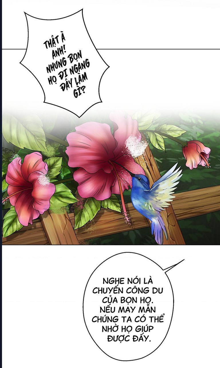 Kinhcomic Phù Thủy Kiến Tạo | Sự Trỗi Dậy Của Loài Pan Chapter 1 - 24