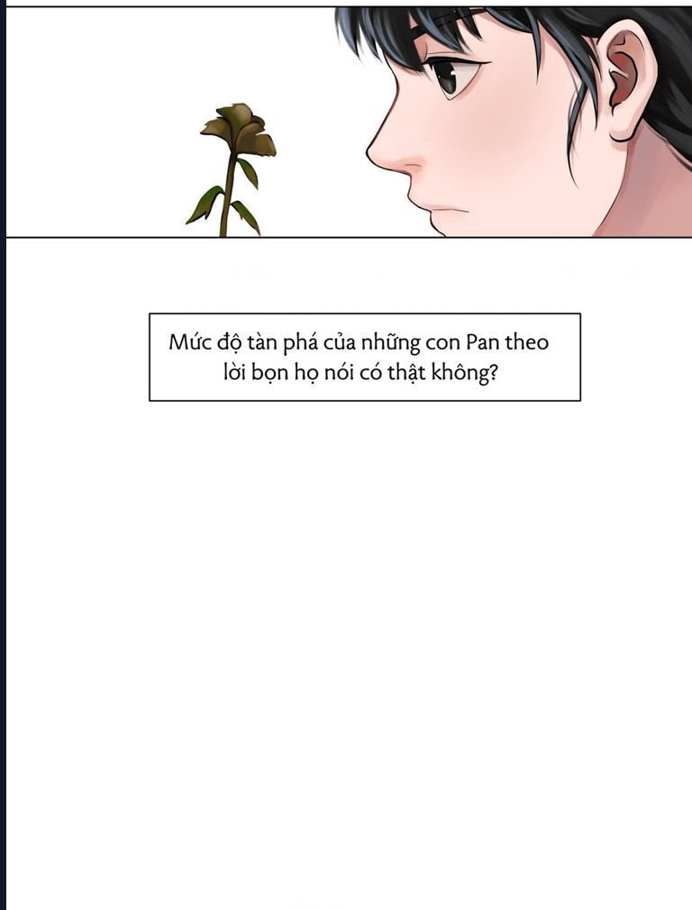 Kinhcomic Phù Thủy Kiến Tạo | Sự Trỗi Dậy Của Loài Pan Chapter 2 - 44