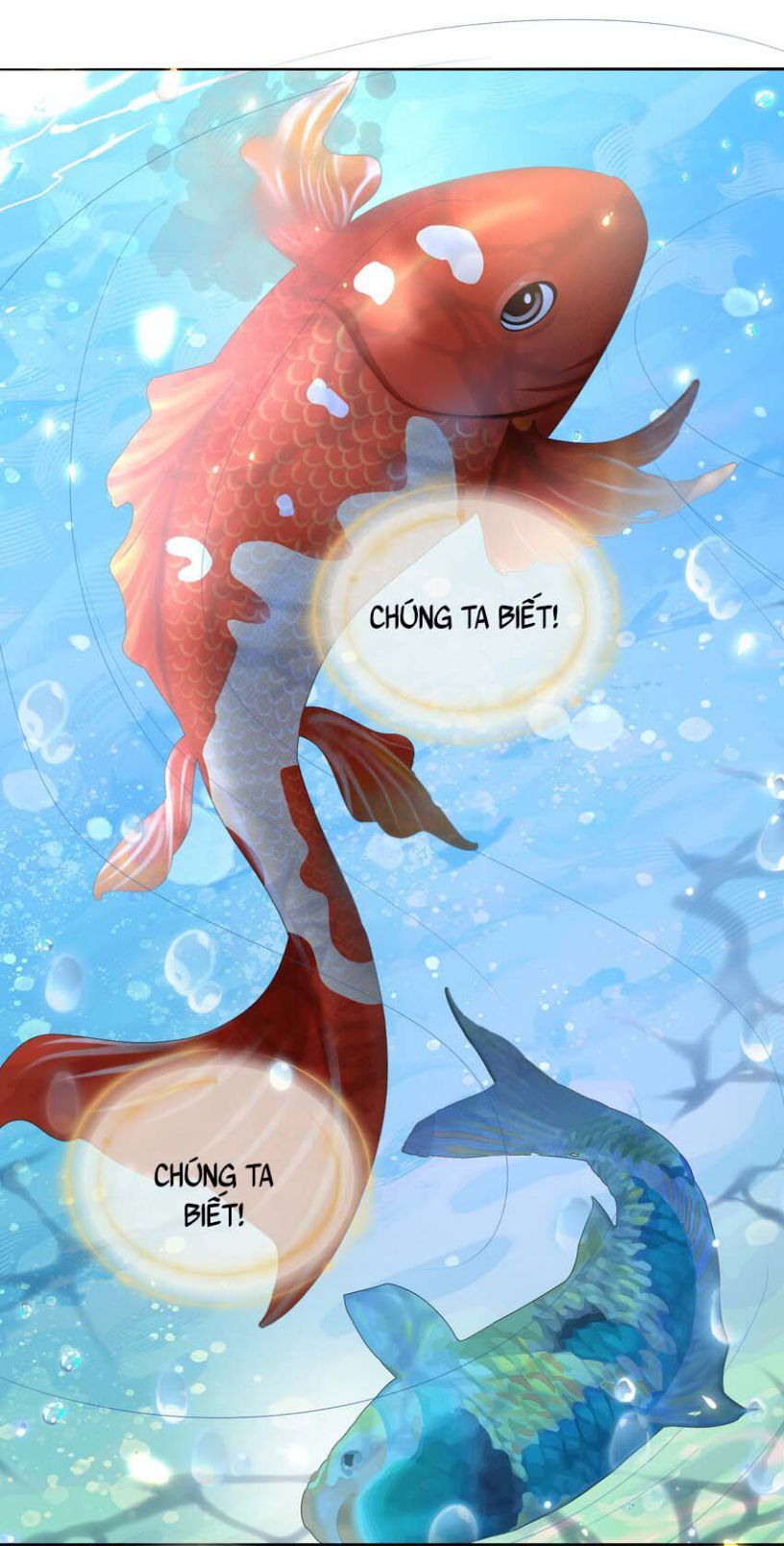 Bất Uổng Chapter 11 - 29