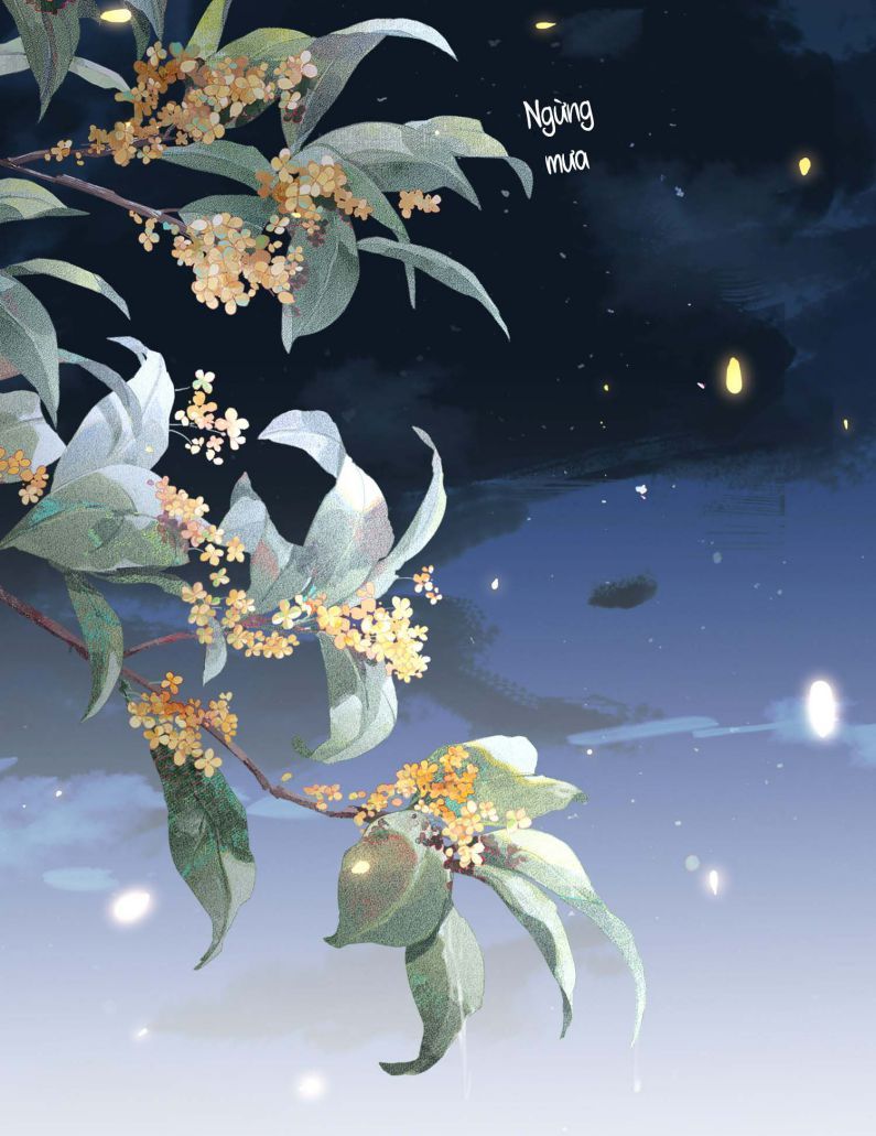 Bất Uổng Chapter 36 - 31