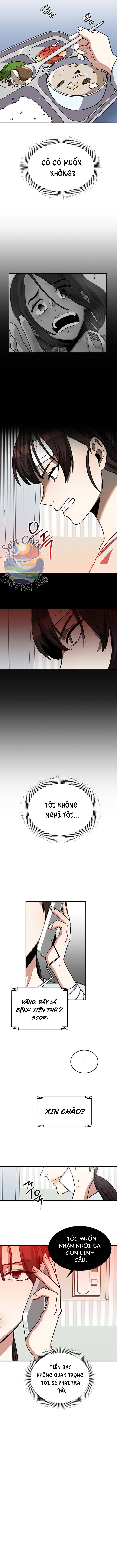 Đây Là Thời Gian Của Bọ Cạp Chapter 3 - 2