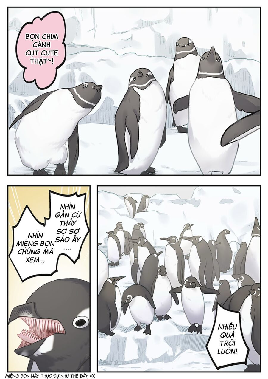 "Thang thiện cảm" của Marika-chan bị hỏng mất rồi! Chapter 5 - 6