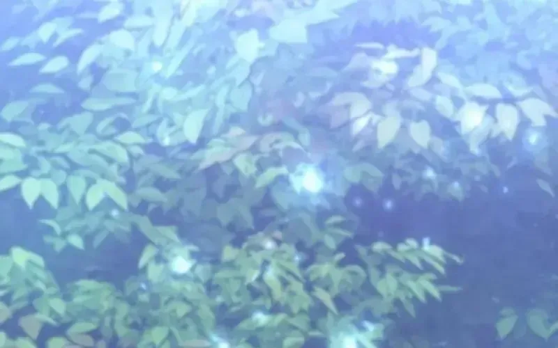 Thần Thịnh Vượng Chapter 11 - 402