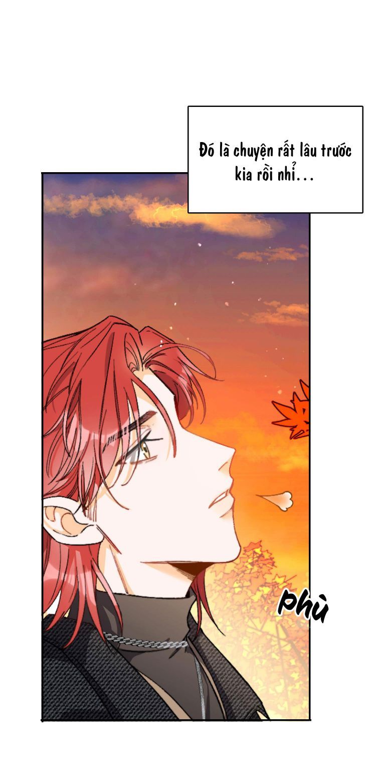 Nụ Hôn Vực Thẳm Chapter 1 - 22