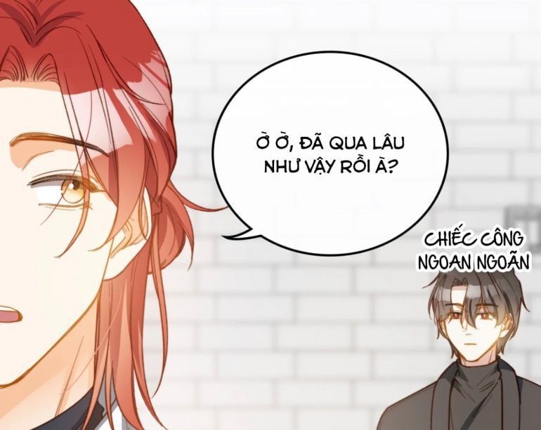 Nụ Hôn Vực Thẳm Chapter 100 - 12