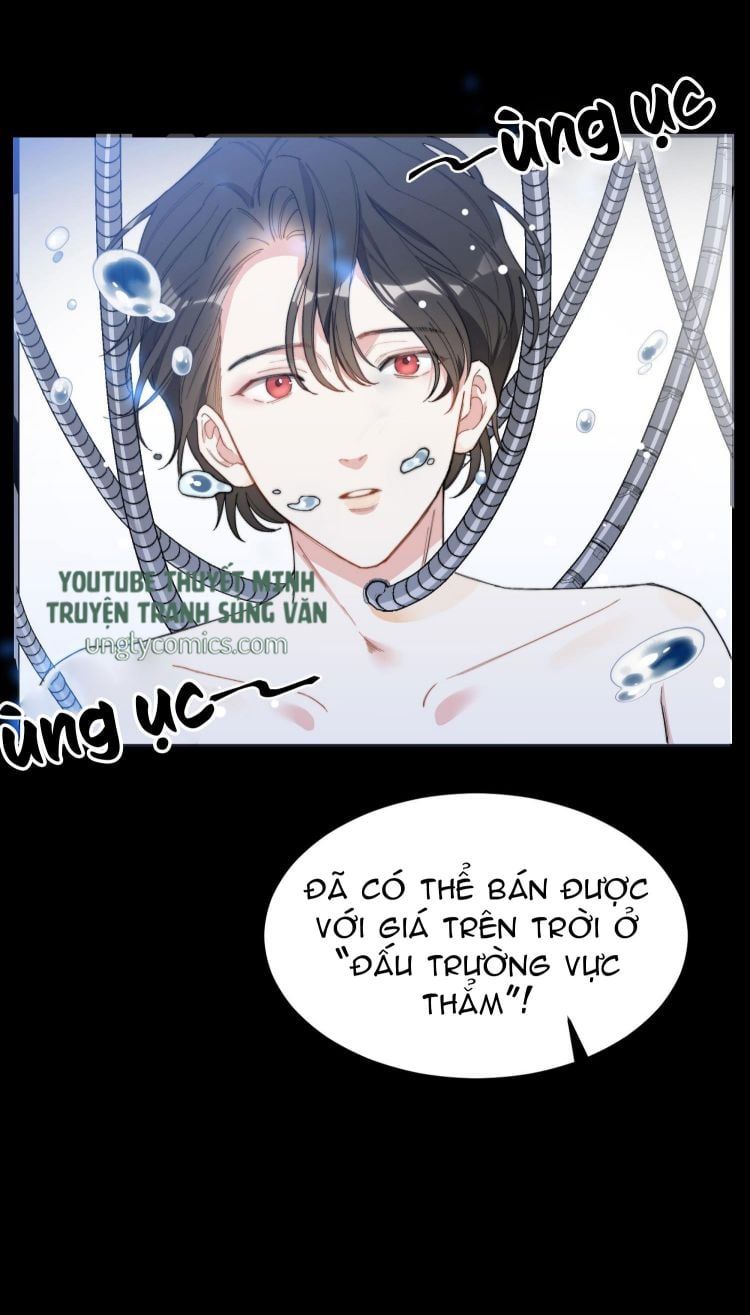 Nụ Hôn Vực Thẳm Chapter 2 - 5