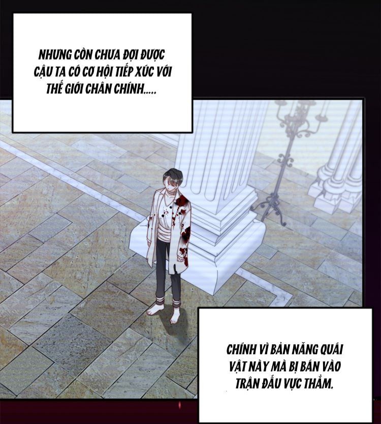 Nụ Hôn Vực Thẳm Chapter 5 - 10