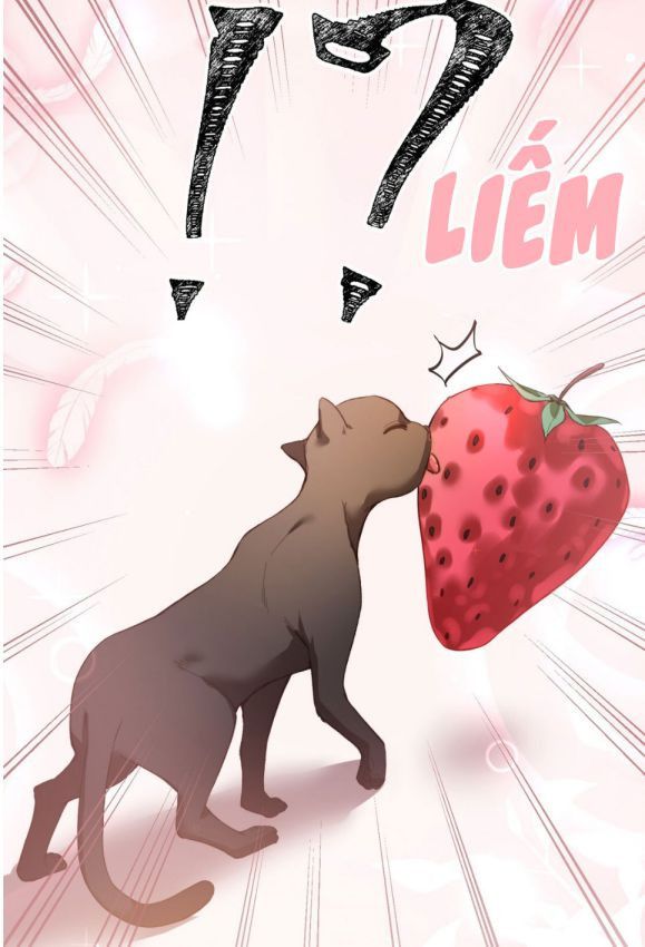 Nụ Hôn Vực Thẳm Chapter 74 - 25