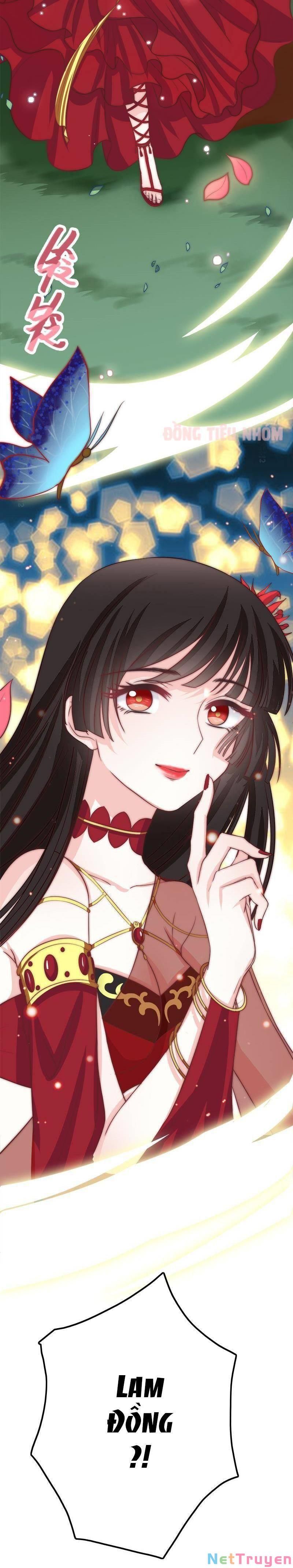 Hôn Tỉnh Thần Bảo Hộ Của Tôi Chapter 45 - 12