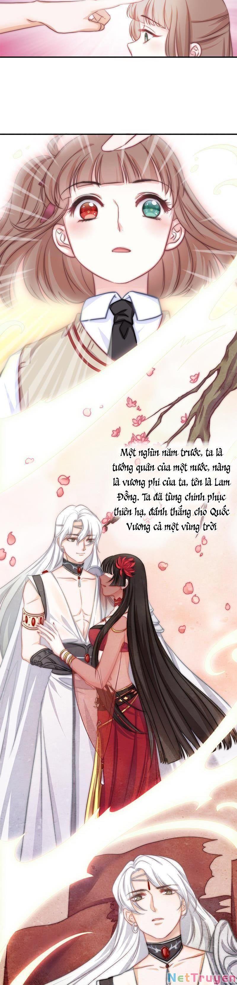 Hôn Tỉnh Thần Bảo Hộ Của Tôi Chapter 5 - 5