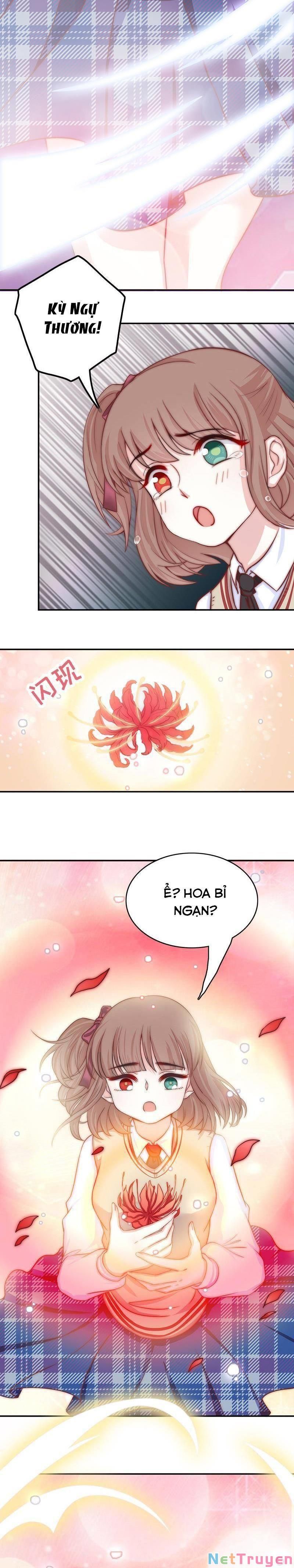 Hôn Tỉnh Thần Bảo Hộ Của Tôi Chapter 51 - 6