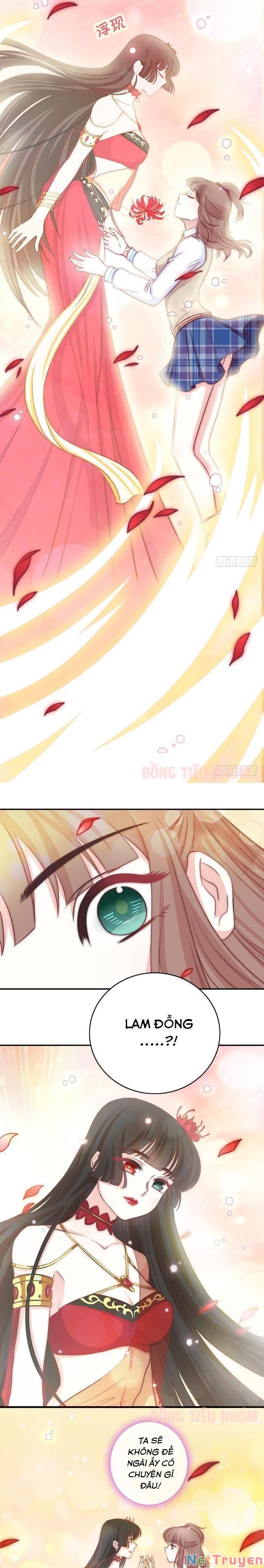 Hôn Tỉnh Thần Bảo Hộ Của Tôi Chapter 51 - 7