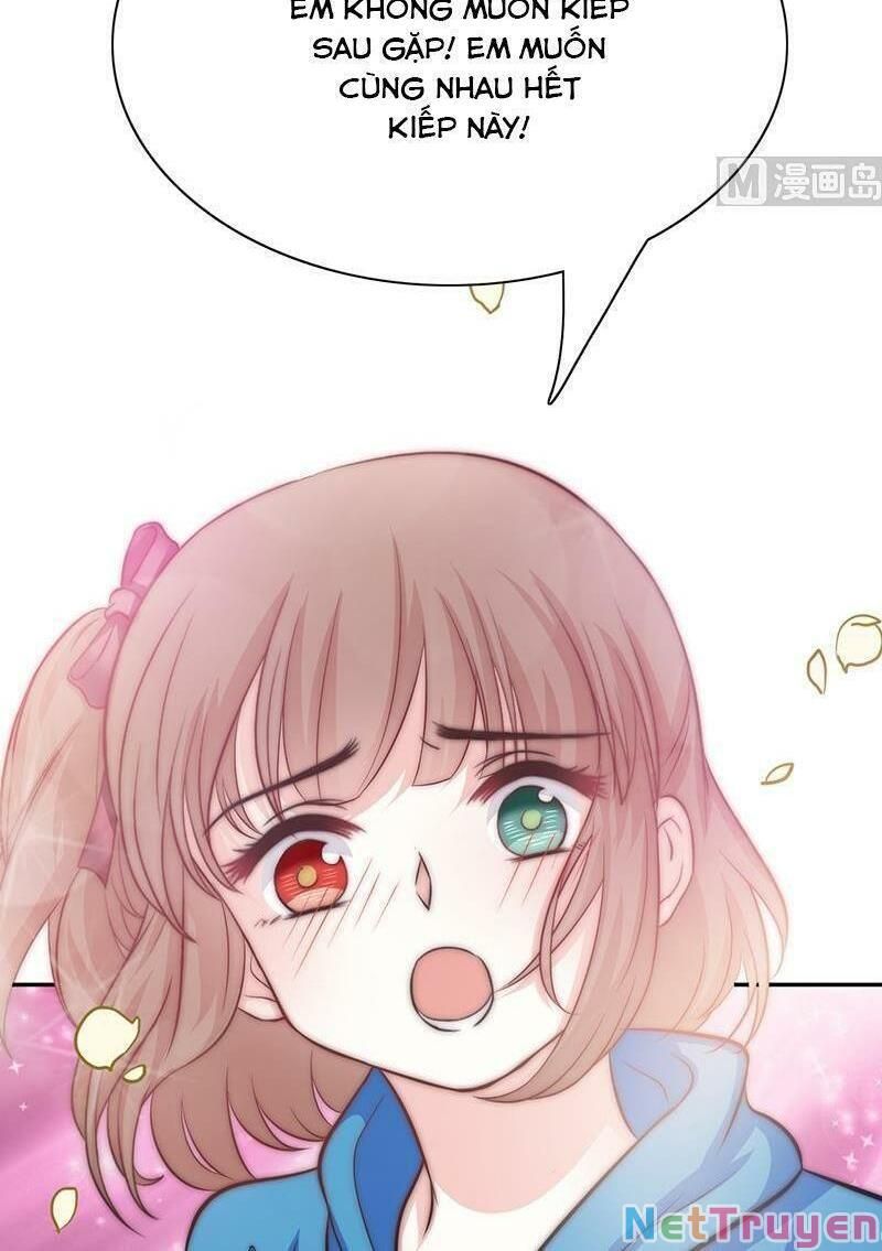 Hôn Tỉnh Thần Bảo Hộ Của Tôi Chapter 72 - 8