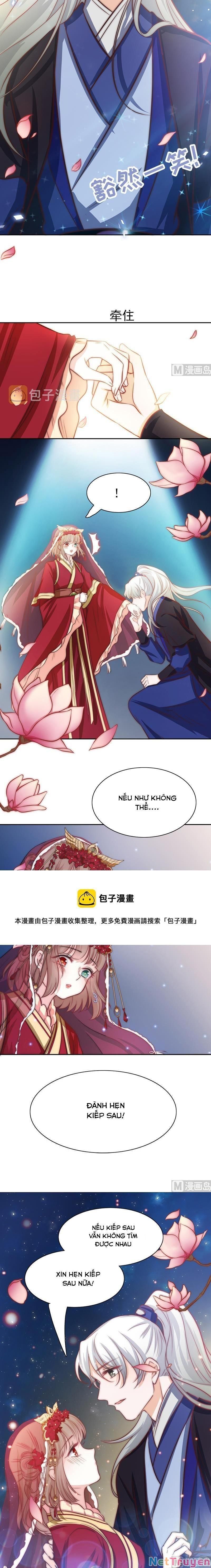 Hôn Tỉnh Thần Bảo Hộ Của Tôi Chapter 79 - 6