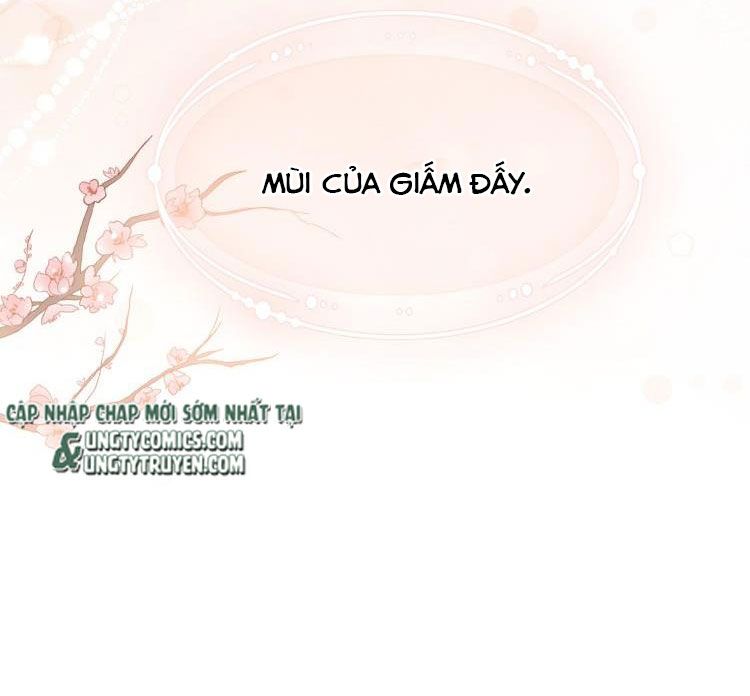 Chỉ Dẫn Ngược Sáng Chapter 2 - 25