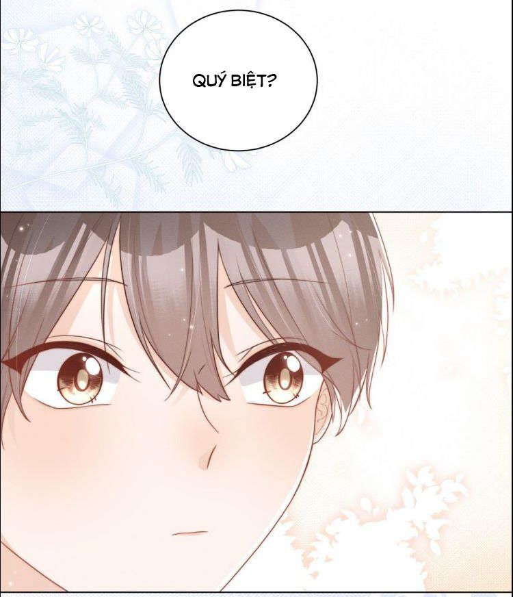 Chỉ Dẫn Ngược Sáng Chapter 8 - 28