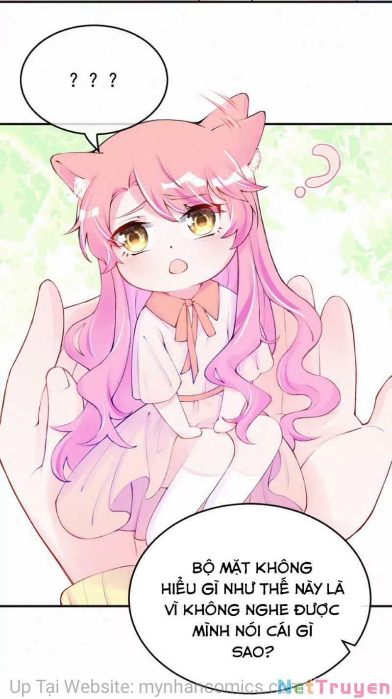 Mami Đột Kích, Thiên Tài Manh Bảo Khốc Daddy Chapter 102.1 - 11