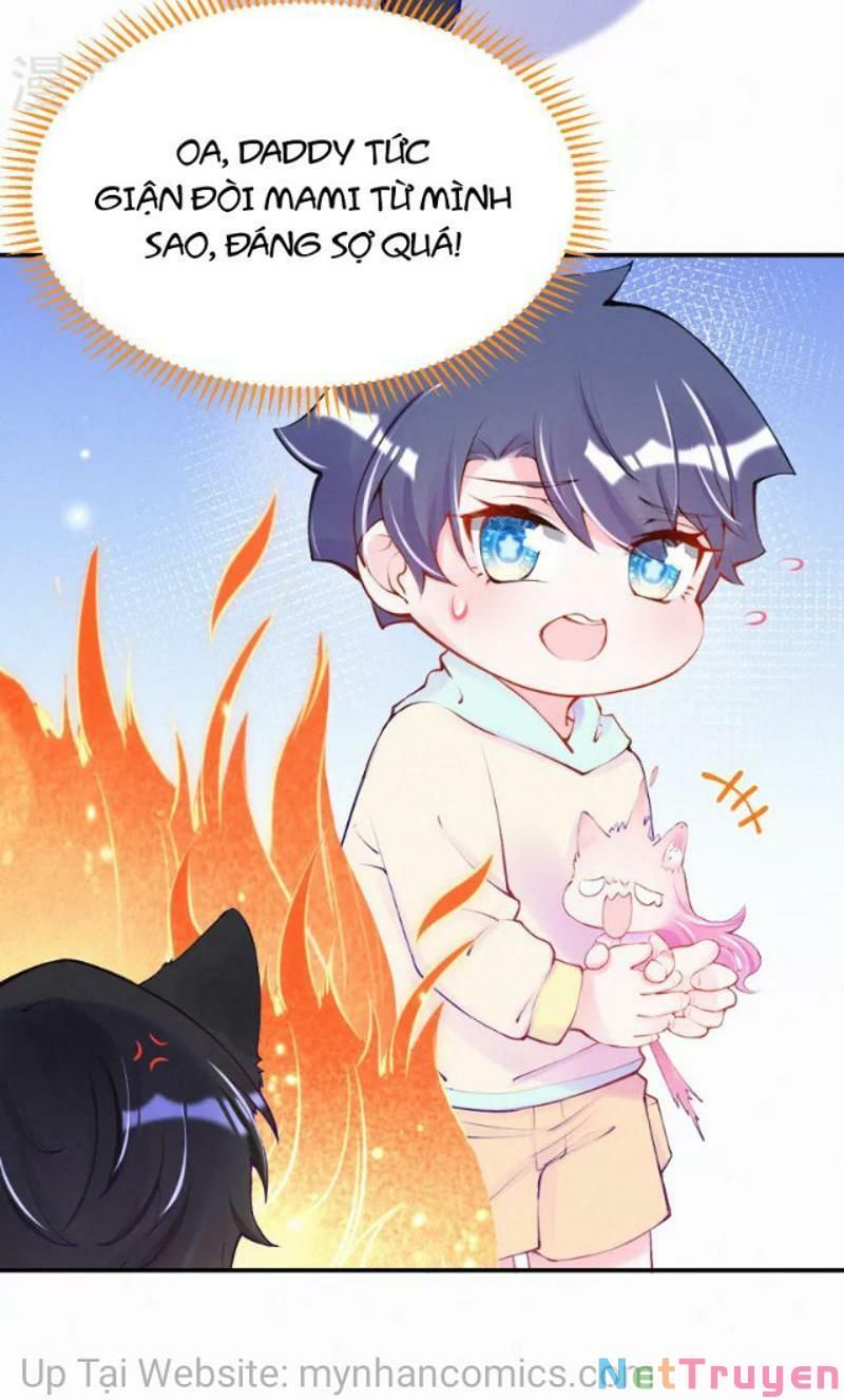 Mami Đột Kích, Thiên Tài Manh Bảo Khốc Daddy Chapter 102.1 - 16