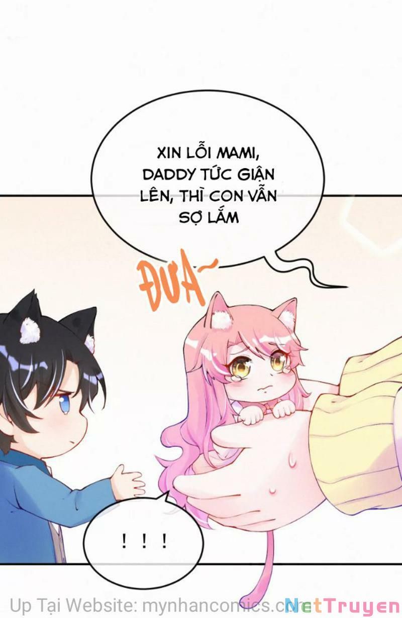 Mami Đột Kích, Thiên Tài Manh Bảo Khốc Daddy Chapter 102.1 - 17