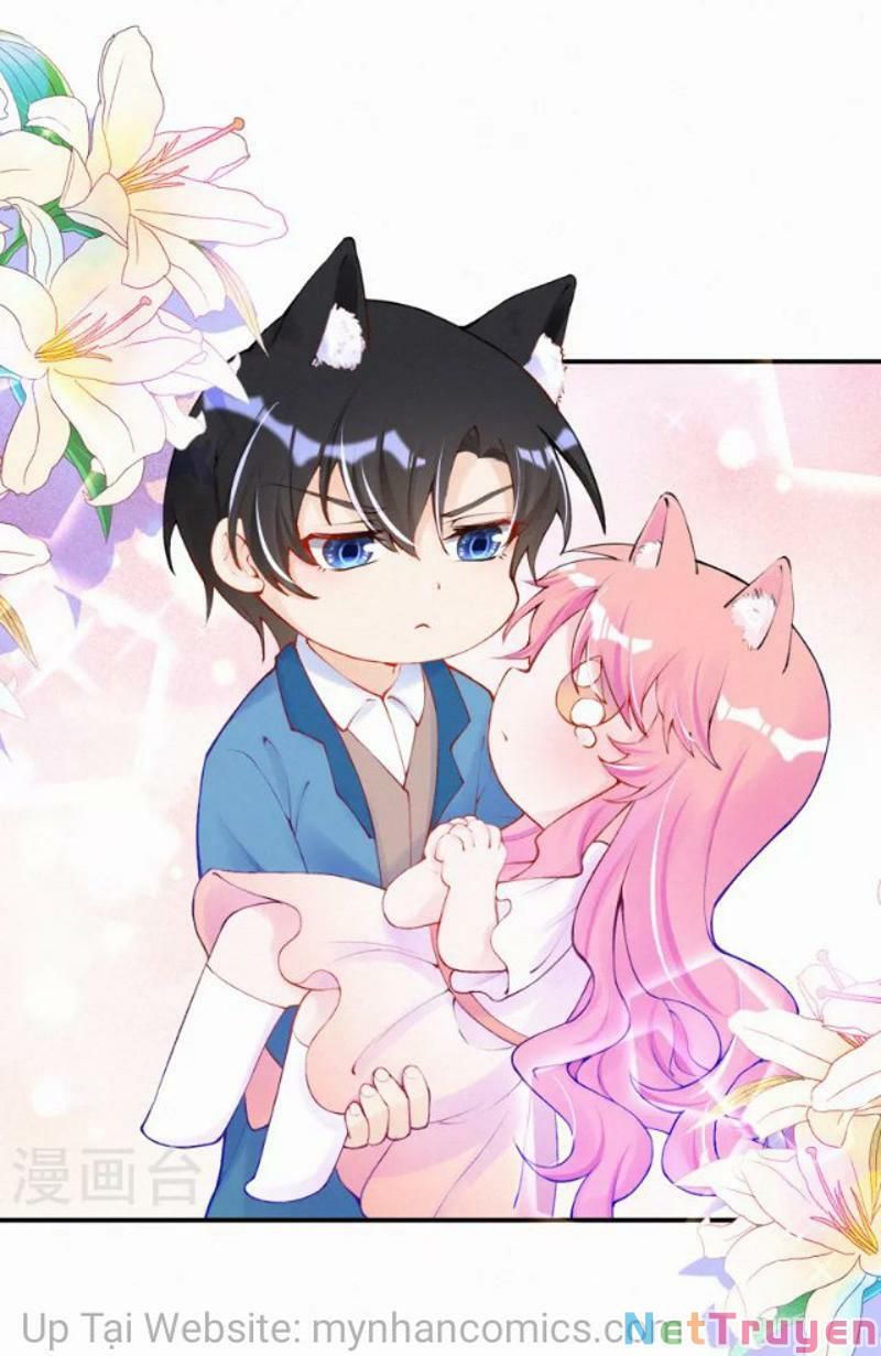 Mami Đột Kích, Thiên Tài Manh Bảo Khốc Daddy Chapter 102.1 - 18